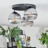Koyoto Deckenleuchte Glas 15 cm Klar, Rauchfarben, 3-flammig