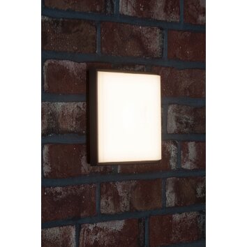 AEG Letan Square Außenwandleuchte LED Anthrazit, Weiß, 1-flammig