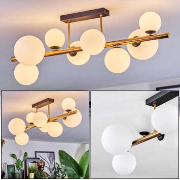 Chehalis Deckenleuchte Glas 10 cm, 12 cm, 15 cm Gold, Schwarz, 8-flammig