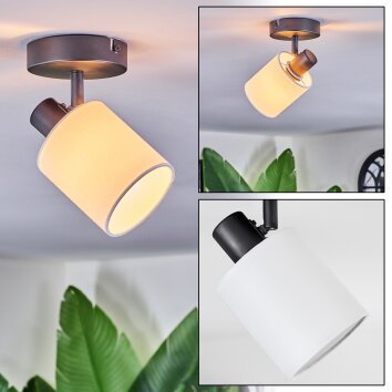 Fallhagen Deckenleuchte Schwarz, 1-flammig