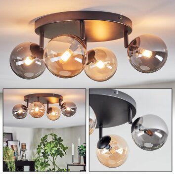 Chehalis Deckenleuchte Glas 12 cm Bernsteinfarben, Rauchfarben, 4-flammig