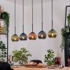 Koyoto Hängeleuchte Glas 15 cm Naturfarben, Schwarz, 5-flammig