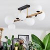 Chehalis Deckenleuchte Glas 10 cm, 12 cm, 15 cm Gold, Schwarz, 8-flammig