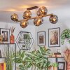 Ripoll Deckenleuchte Glas 15 cm Gold, Schwarz, 10-flammig