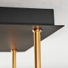 Ripoll Deckenleuchte Glas 15 cm Gold, Schwarz, 5-flammig