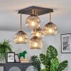 Ripoll Deckenleuchte Glas 15 cm Gold, Schwarz, 5-flammig