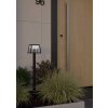 EGLO ALTILIA Solarleuchte LED Schwarz, 1-flammig, Bewegungsmelder