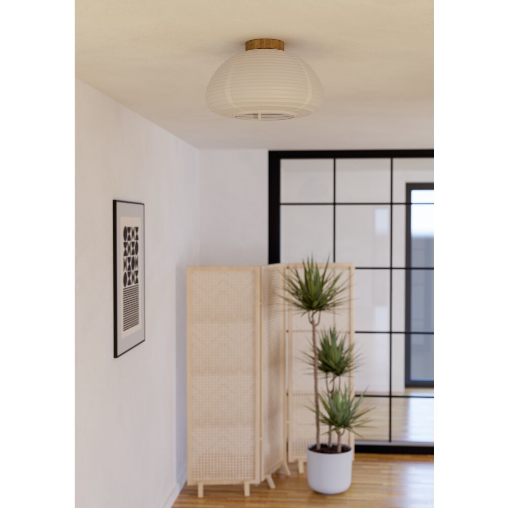 EGLO SUMMERHILL Deckenleuchte Braun, 1-flammig main product photo