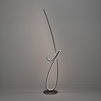 EGLO CARDONCITO Stehleuchte LED Schwarz, Farbwechsler