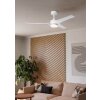 EGLO ORCUTT Deckenventilator LED weiß matt, Fernbedienung