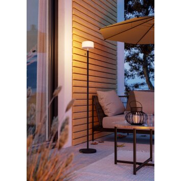 EGLO MONTAPALMA-L Stehleuchte LED Schwarz, Fernbedienung, Farbwechsler EGLO MONTAPALMA-L Stehleuchte LED Schwarz, Fernbedienung, Farbwechsler