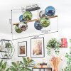 Gastor Deckenleuchte Glas 15 cm Gold, Schwarz, 8-flammig