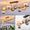 Chehalis Deckenleuchte Glas 10 cm, 12 cm, 15 cm Gold, Schwarz, 8-flammig