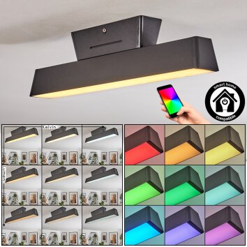 Tarin Deckenleuchte LED Schwarz, 1-flammig, Farbwechsler Tarin Deckenleuchte LED Schwarz, 1-flammig, Farbwechsler