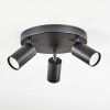 Foren Deckenleuchte LED Schwarz, 3-flammig, Farbwechsler Foren Deckenleuchte LED Schwarz, 3-flammig, Farbwechsler