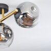 Ripoll Deckenleuchte Glas 15 cm Gold, Schwarz, 3-flammig