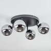 Chehalis Deckenleuchte Glas 12 cm Chrom, Rauchfarben, 4-flammig