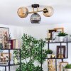 Ripoll Deckenleuchte Glas 15 cm Gold, Schwarz, 3-flammig