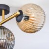 Ripoll Deckenleuchte Glas 15 cm Gold, Schwarz, 3-flammig