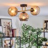 Ripoll Deckenleuchte Glas 15 cm Gold, Schwarz, 3-flammig