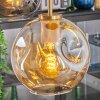 Ripoll Hängeleuchte Glas 20 cm Gold, Schwarz, 5-flammig