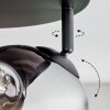 Ripoll Deckenleuchte Glas 15 cm Bernsteinfarben, Klar, 4-flammig