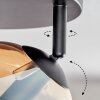 Koyoto Deckenleuchte Glas 15 cm Bernsteinfarben, Chrom, Rauchfarben, 4-flammig