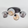 Ripoll Deckenleuchte Glas 15 cm Bernsteinfarben, Rauchfarben, 4-flammig