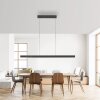 Paul Neuhaus Adriana Square Pendelleuchte LED Anthrazit, 6-flammig