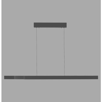 Paul Neuhaus Adriana Square Pendelleuchte LED Anthrazit, 6-flammig