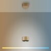 Paul Neuhaus Q-STRETTO Pendelleuchte LED Bronze, 2-flammig, Fernbedienung