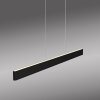 Paul Neuhaus Q-STRETTO Pendelleuchte LED Schwarz, 2-flammig, Fernbedienung