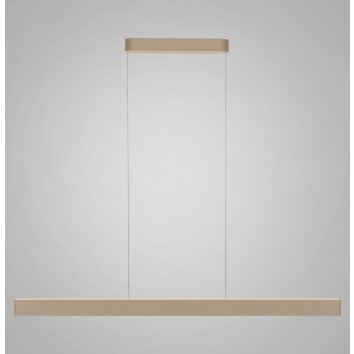 Paul Neuhaus Q-STRETTO Pendelleuchte LED Bronze, 2-flammig, Fernbedienung