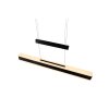 Trio Arcola Pendelleuchte LED Schwarz, 1-flammig