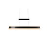 Trio Arcola Pendelleuchte LED Schwarz, 1-flammig