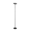 Reality Samba Stehlampe LED Schwarz, 1-flammig, Fernbedienung, Farbwechsler