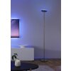 Reality Samba Stehlampe LED Schwarz, 1-flammig, Fernbedienung, Farbwechsler