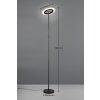 Reality Samba Stehlampe LED Schwarz, 1-flammig, Fernbedienung, Farbwechsler