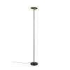 Reality Samba Stehlampe LED Schwarz, 1-flammig, Fernbedienung, Farbwechsler