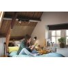 Philips Hue White Ambience Runner Deckenleuchte Schwarz, 1-flammig