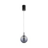 Paul Neuhaus PURE Infinity Pendelleuchte LED Grau, 1-flammig, Fernbedienung