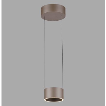 Paul Neuhaus PURE Clipse Pendelleuchte LED Bronze, 2-flammig, Fernbedienung