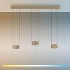 Paul Neuhaus PURE Clipse Pendelleuchte LED Bronze, 6-flammig, Fernbedienung