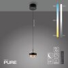 Paul Neuhaus PURE Falling Rings Pendelleuchte LED Schwarz, Transparent, Klar, 1-flammig, Fernbedienung