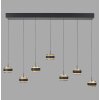 Paul Neuhaus PURE Falling Rings Pendelleuchte LED Schwarz, Transparent, Klar, 7-flammig, Fernbedienung