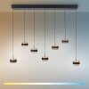 Paul Neuhaus PURE Falling Rings Pendelleuchte LED Schwarz, Transparent, Klar, 7-flammig, Fernbedienung