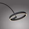 Paul Neuhaus PURE Loop-Bow Bogenleuchte LED Schwarz, 2-flammig