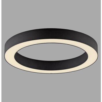 Paul Neuhaus PURE Lines Round Deckenleuchte LED Grau, 1-flammig, Fernbedienung