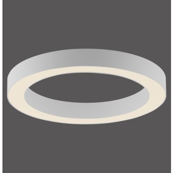 Paul Neuhaus PURE Lines Round Deckenleuchte LED Weiß, 1-flammig, Fernbedienung