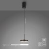 JUST LIGHT PLATA Pendelleuchte LED Schwarz, 1-flammig